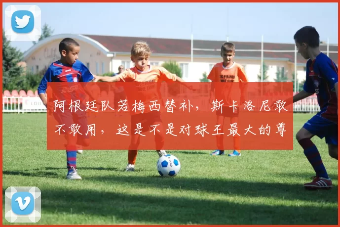 阿根廷队若梅西替补，斯卡洛尼敢不敢用，这是不是对球王最大的尊重也是战术冒险